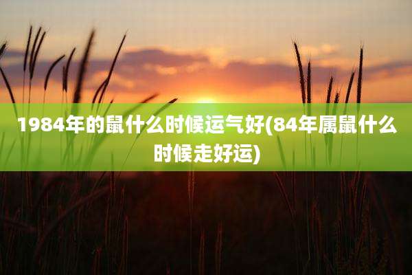 1984年的鼠什么时候运气好(84年属鼠什么时候走好运)