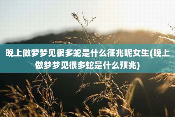 晚上做梦梦见很多蛇是什么征兆呢女生(晚上做梦梦见很多蛇是什么预兆)