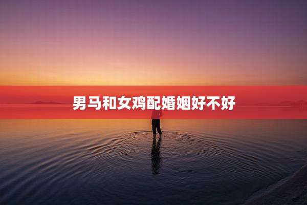 男马和女鸡配婚姻好不好