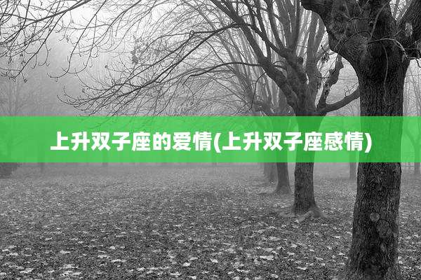 上升双子座的爱情(上升双子座感情)