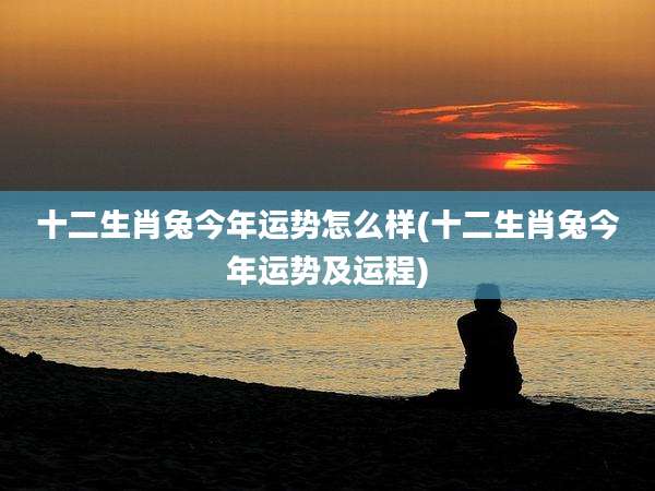 十二生肖兔今年运势怎么样(十二生肖兔今年运势及运程)