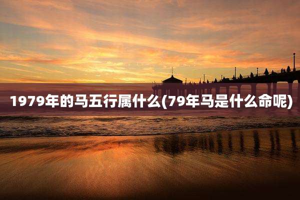 1979年的马五行属什么(79年马是什么命呢)