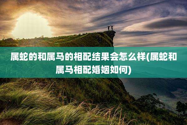属蛇的和属马的相配结果会怎么样(属蛇和属马相配婚姻如何)