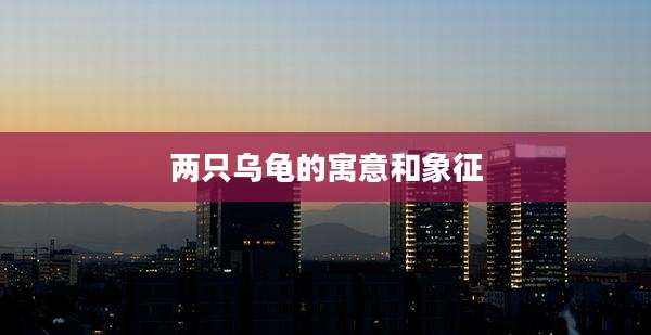 两只乌龟的寓意和象征