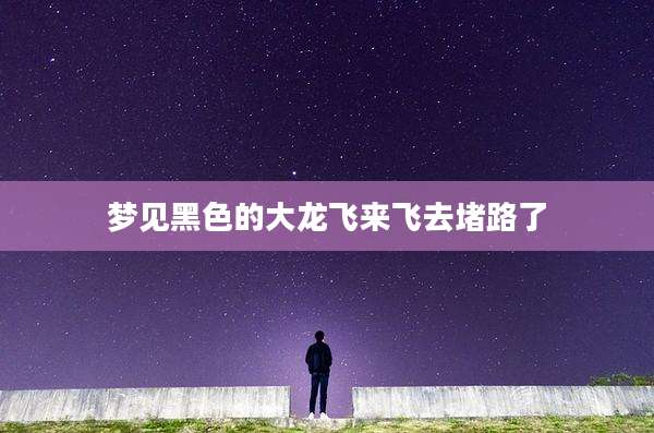 梦见黑色的大龙飞来飞去堵路了