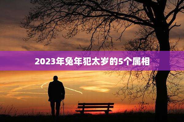 2023年兔年犯太岁的5个属相