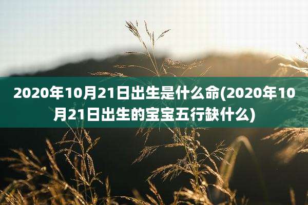 2020年10月21日出生是什么命(2020年10月21日出生的宝宝五行缺什么)