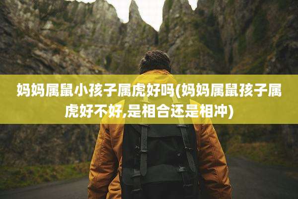 妈妈属鼠小孩子属虎好吗(妈妈属鼠孩子属虎好不好,是相合还是相冲)