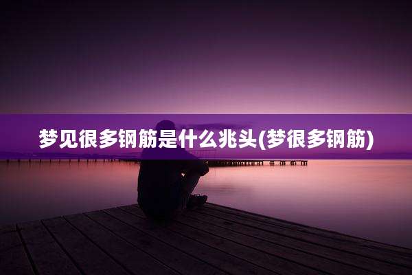 梦见很多钢筋是什么兆头(梦很多钢筋)