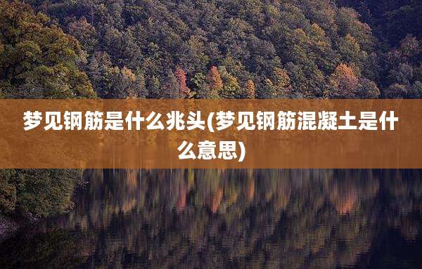 梦见钢筋是什么兆头(梦见钢筋混凝土是什么意思)
