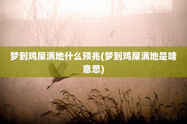 梦到鸡屎满地什么预兆(梦到鸡屎满地是啥意思)