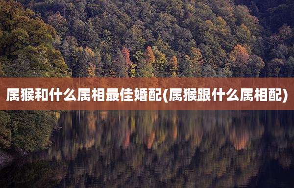 属猴和什么属相最佳婚配(属猴跟什么属相配)
