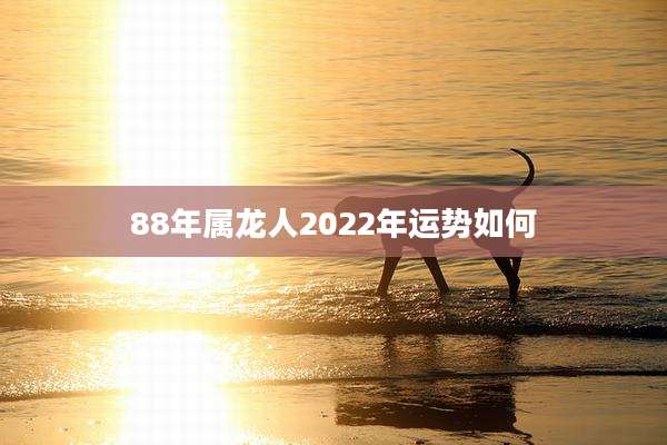 88年属龙人2022年运势如何
