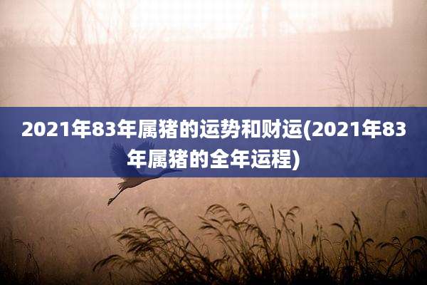 2021年83年属猪的运势和财运(2021年83年属猪的全年运程)
