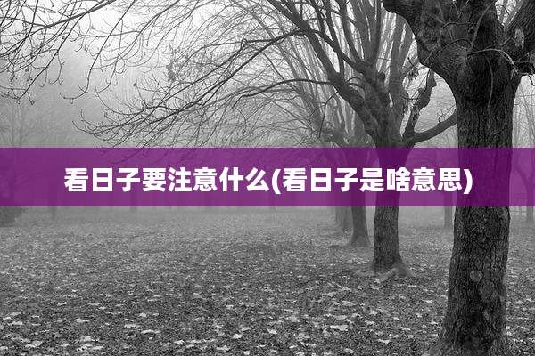看日子要注意什么(看日子是啥意思)
