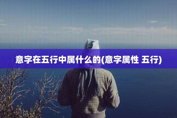 意字在五行中属什么的(意字属性 五行)