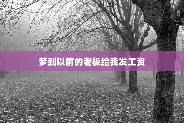 梦到以前的老板给我发工资