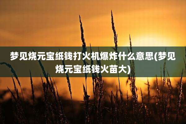 梦见烧元宝纸钱打火机爆炸什么意思(梦见烧元宝纸钱火苗大)