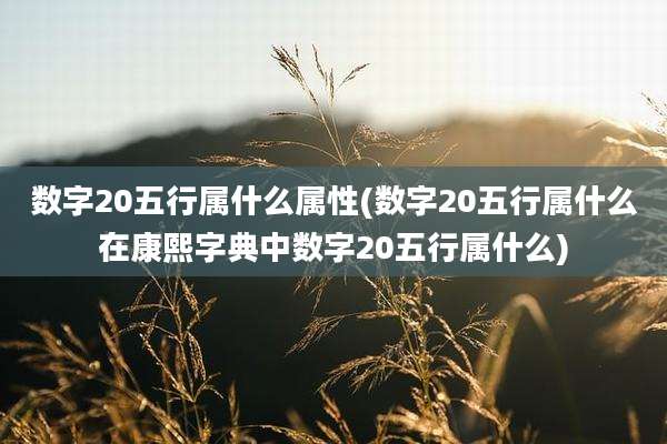 数字20五行属什么属性(数字20五行属什么在康熙字典中数字20五行属什么)