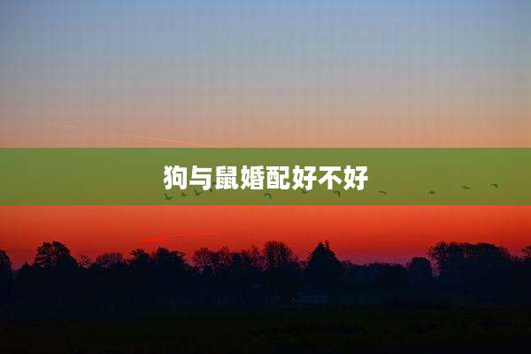 狗与鼠婚配好不好
