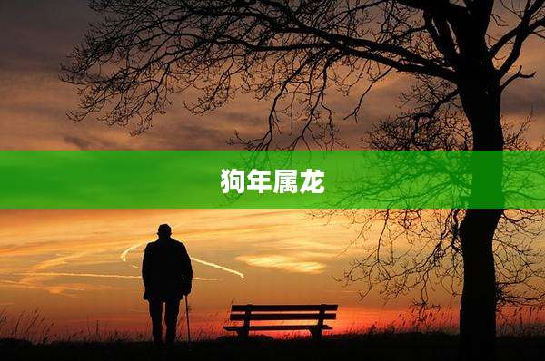狗年属龙
