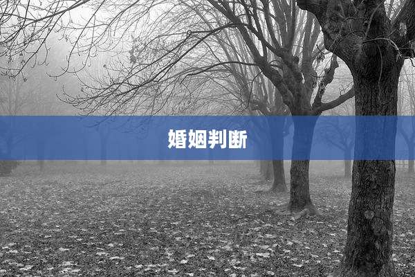 婚姻判断