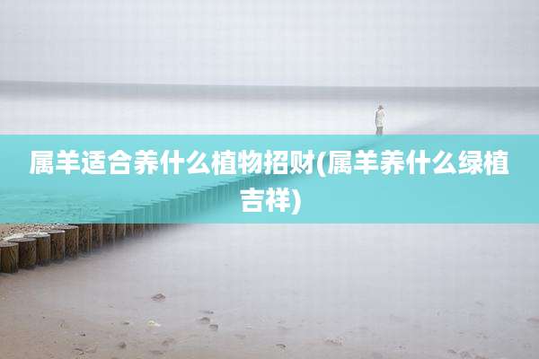 属羊适合养什么植物招财(属羊养什么绿植吉祥)