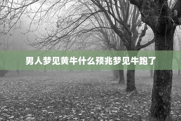 男人梦见黄牛什么预兆梦见牛跑了
