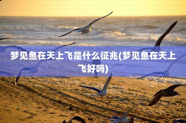 梦见鱼在天上飞是什么征兆(梦见鱼在天上飞好吗)