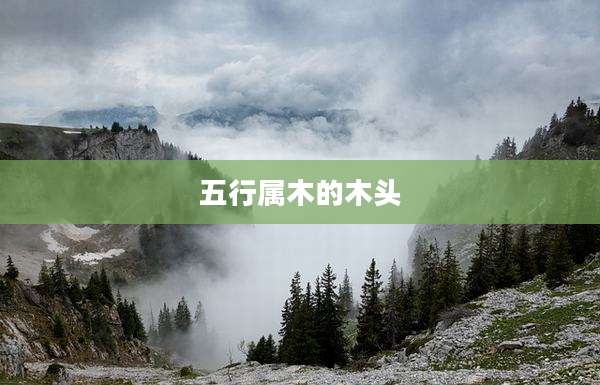 五行属木的木头