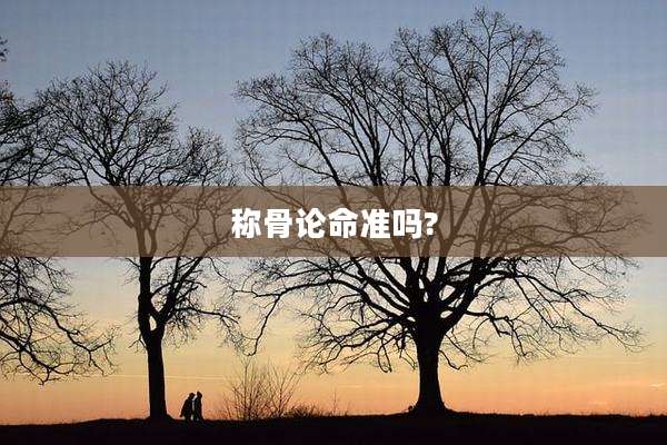 称骨论命准吗?