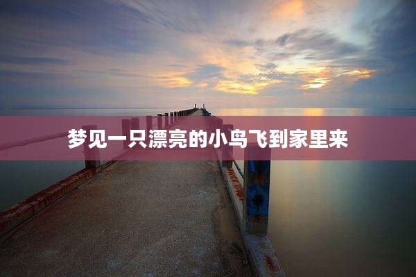 梦见一只漂亮的小鸟飞到家里来