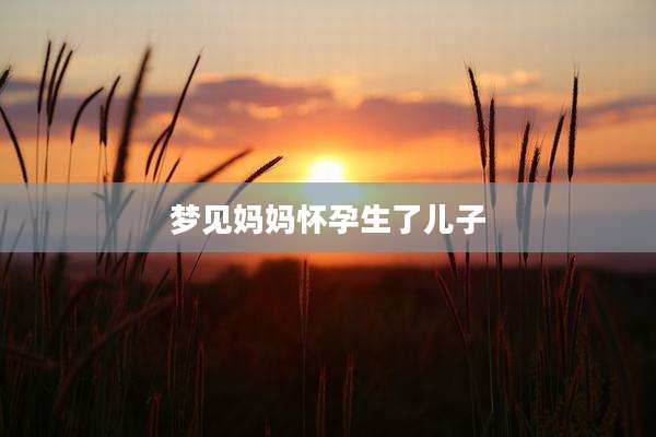 梦见妈妈怀孕生了儿子