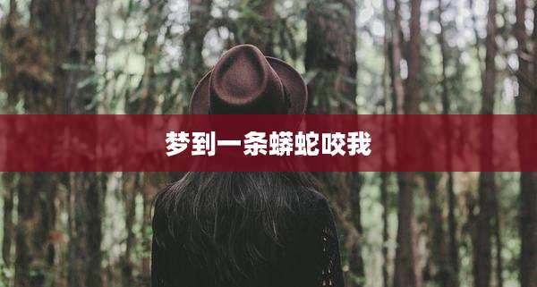 梦到一条蟒蛇咬我