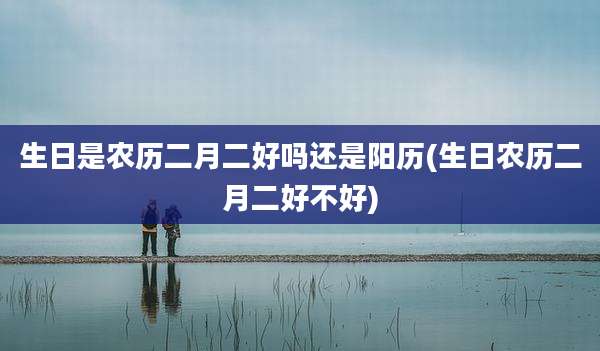 生日是农历二月二好吗还是阳历(生日农历二月二好不好)