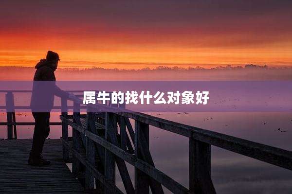 属牛的找什么对象好