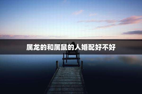 属龙的和属鼠的人婚配好不好