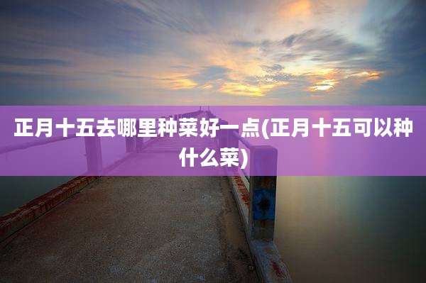 正月十五去哪里种菜好一点(正月十五可以种什么菜)