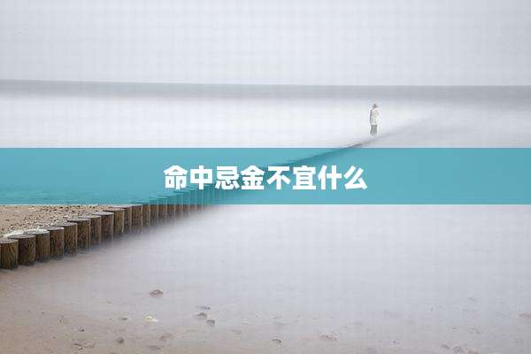 命中忌金不宜什么