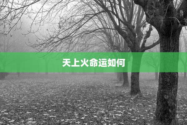 天上火命运如何