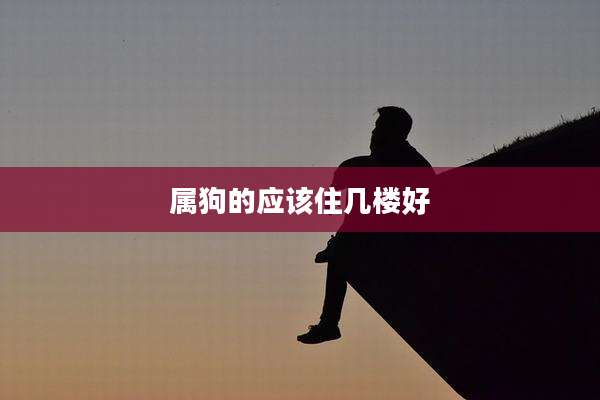 属狗的应该住几楼好