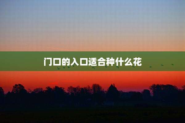 门口的入口适合种什么花