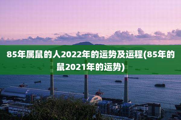 85年属鼠的人2022年的运势及运程(85年的鼠2021年的运势)