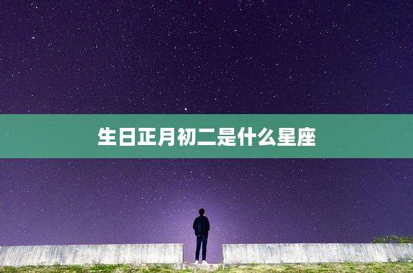 生日正月初二是什么星座