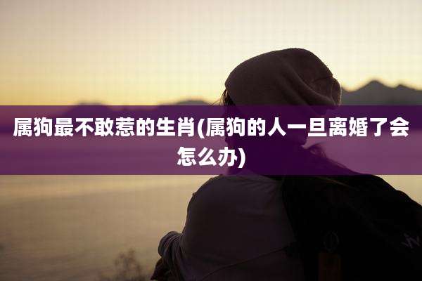 属狗最不敢惹的生肖(属狗的人一旦离婚了会怎么办)