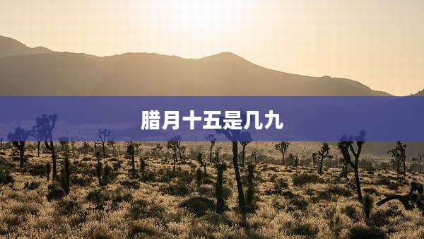 腊月十五是几九
