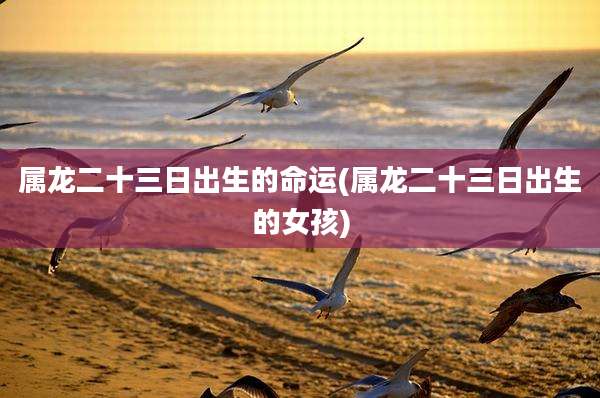 属龙二十三日出生的命运(属龙二十三日出生的女孩)