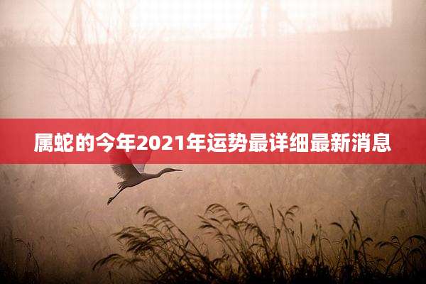 属蛇的今年2021年运势最详细最新消息