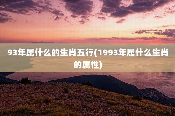 93年属什么的生肖五行(1993年属什么生肖的属性)