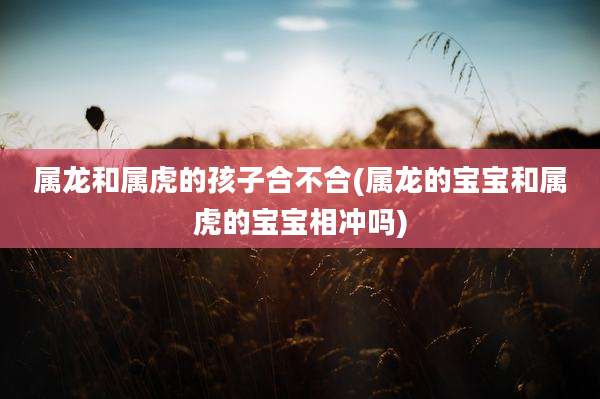 属龙和属虎的孩子合不合(属龙的宝宝和属虎的宝宝相冲吗)